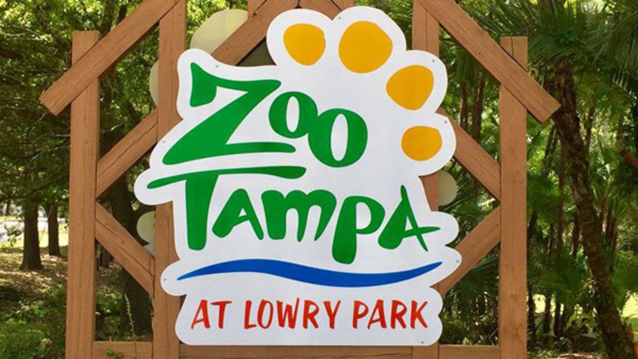 Lowry Park Zoo, Tampa.